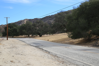Enlarge photo 26