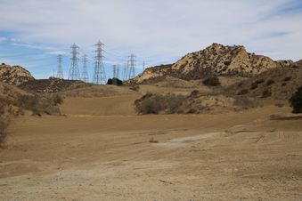Enlarge photo 27