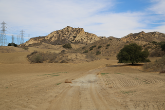 Enlarge photo 28