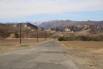 Enlarge photo 44
