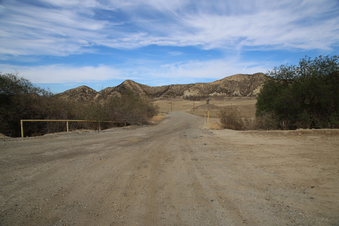 Enlarge photo 51