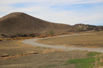 Enlarge photo 97