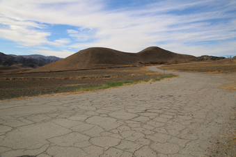 Enlarge photo 99
