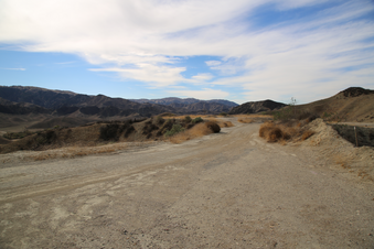 Enlarge photo 102