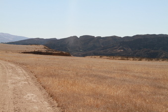 Enlarge photo 15