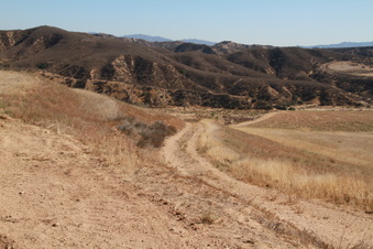 Enlarge photo 16