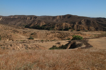 Enlarge photo 25