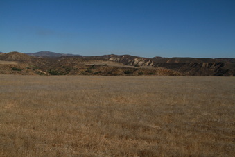 Enlarge photo 30