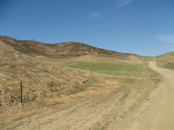 Enlarge photo 4