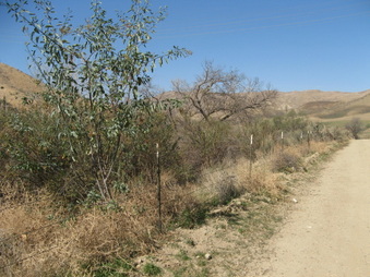 Enlarge photo 7