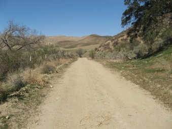 Enlarge photo 8