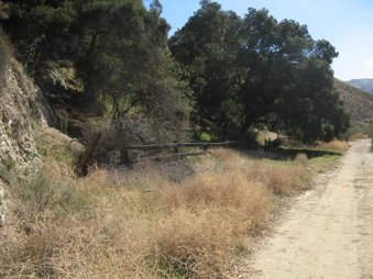 Enlarge photo 10
