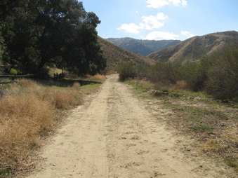 Enlarge photo 11