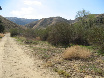 Enlarge photo 12