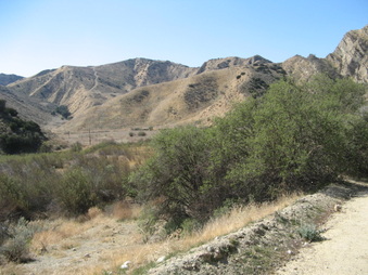 Enlarge photo 13