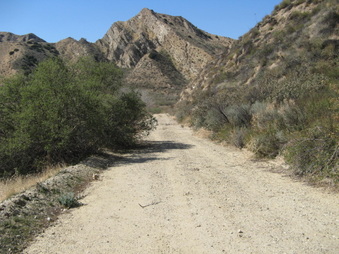 Enlarge photo 14
