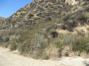 Enlarge photo 15