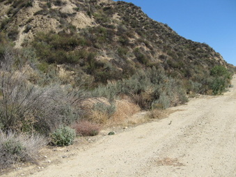 Enlarge photo 16