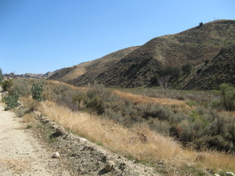 Enlarge photo 18