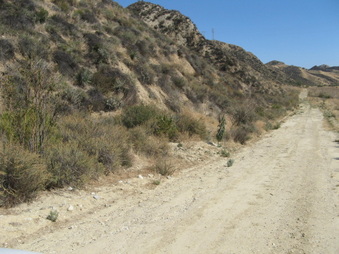 Enlarge photo 19