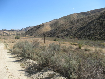 Enlarge photo 21