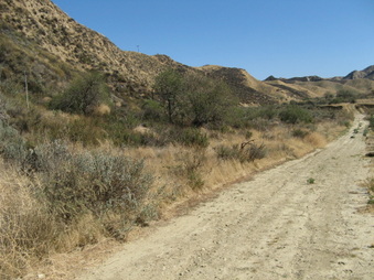 Enlarge photo 22