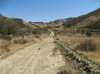Enlarge photo 23