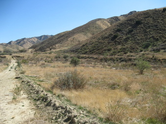 Enlarge photo 24
