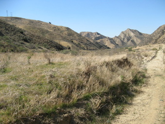 Enlarge photo 25