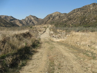 Enlarge photo 26