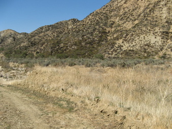 Enlarge photo 27