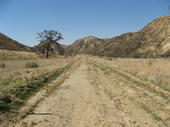 Enlarge photo 29