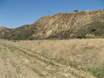 Enlarge photo 30