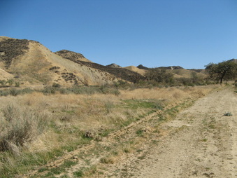 Enlarge photo 31