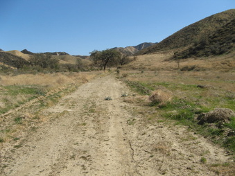 Enlarge photo 32
