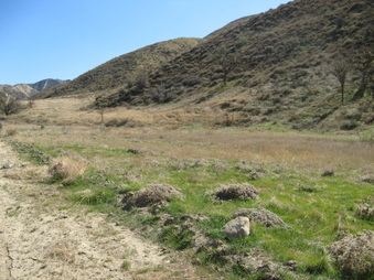 Enlarge photo 33
