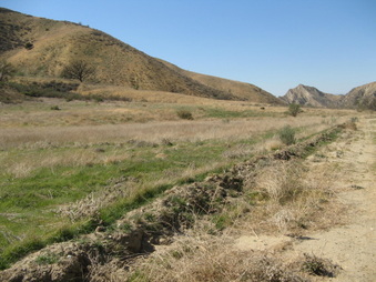 Enlarge photo 34