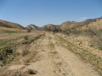 Enlarge photo 35
