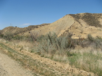 Enlarge photo 36