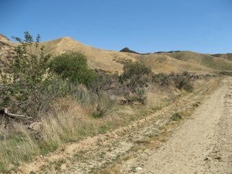 Enlarge photo 37