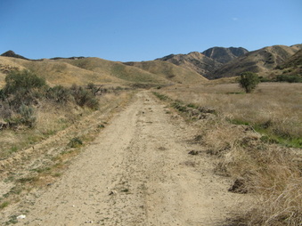 Enlarge photo 38