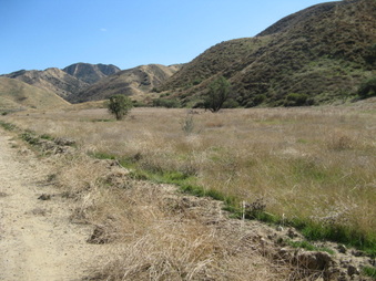 Enlarge photo 39