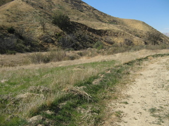 Enlarge photo 40