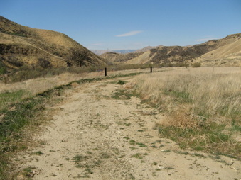 Enlarge photo 41