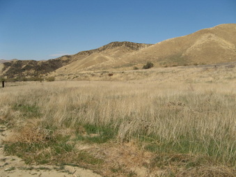Enlarge photo 42