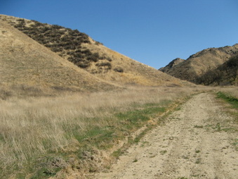 Enlarge photo 43