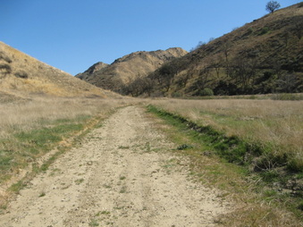Enlarge photo 44