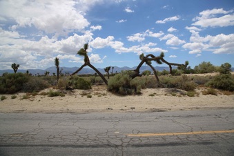 Enlarge photo 4