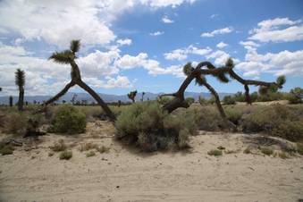 Enlarge photo 5