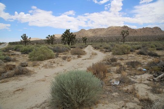 Enlarge photo 8